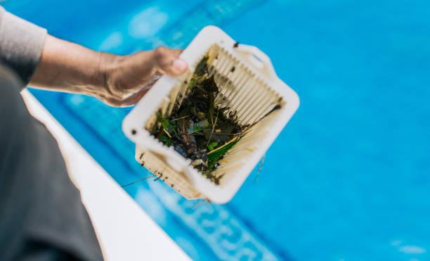 Best Estate Cleanout Services  in Coarsegold, CA